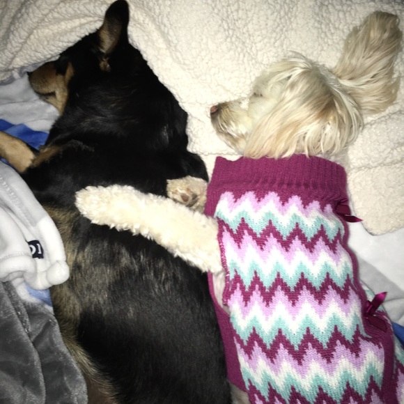 Meet your Posher, Rosalie - Picture 2 of 2